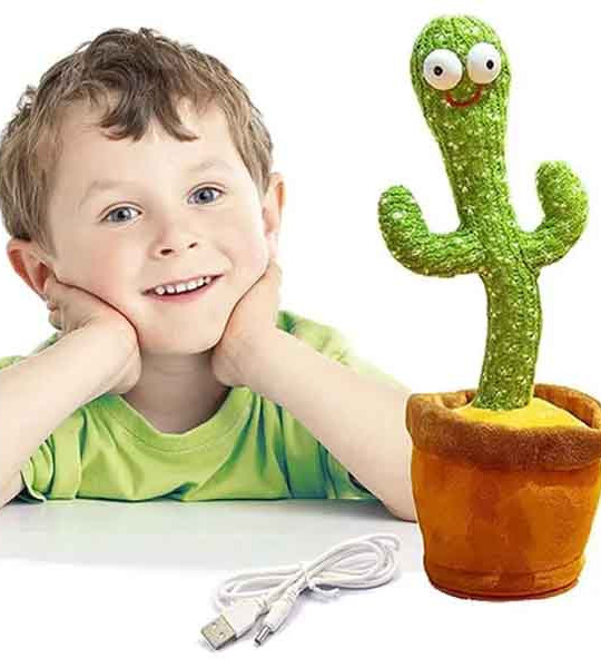 Singing Talking Recording Dancing Cactus Toy