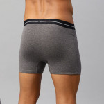 Men Lifestyle Charcoal Grey Core Boxer Brief